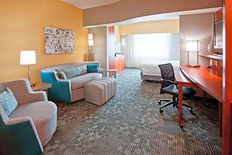Executive Room, Larger Guest room, 1 King, Sofa bed