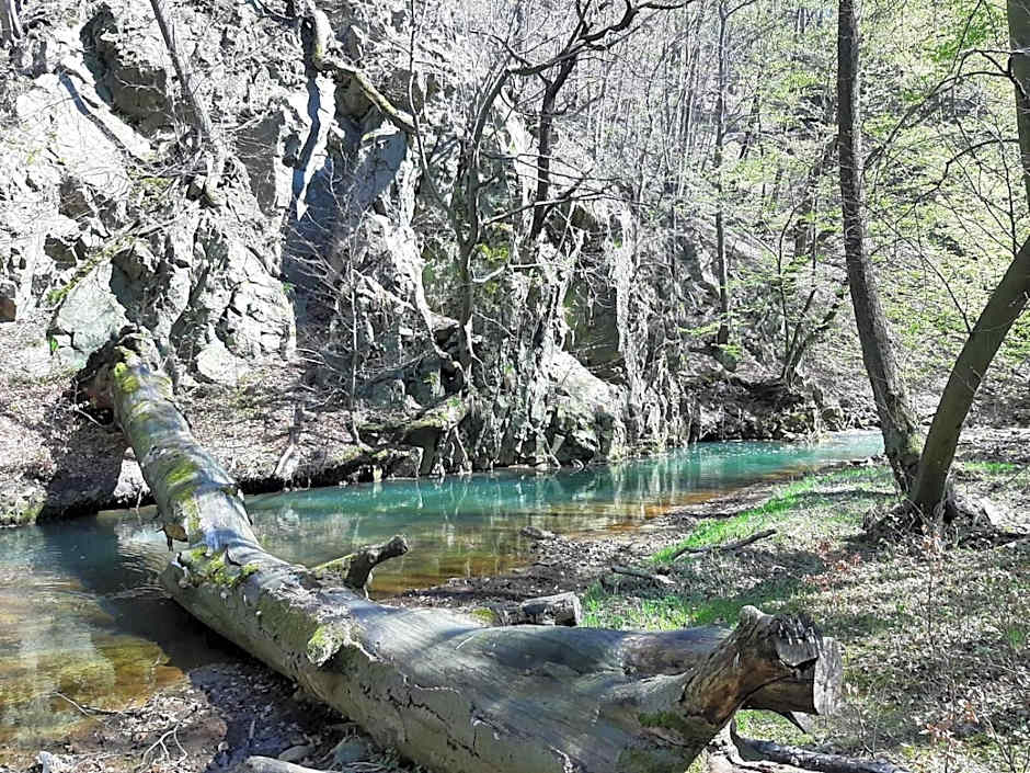 Hotel Przy Oślej Bramie - Zamek Książ