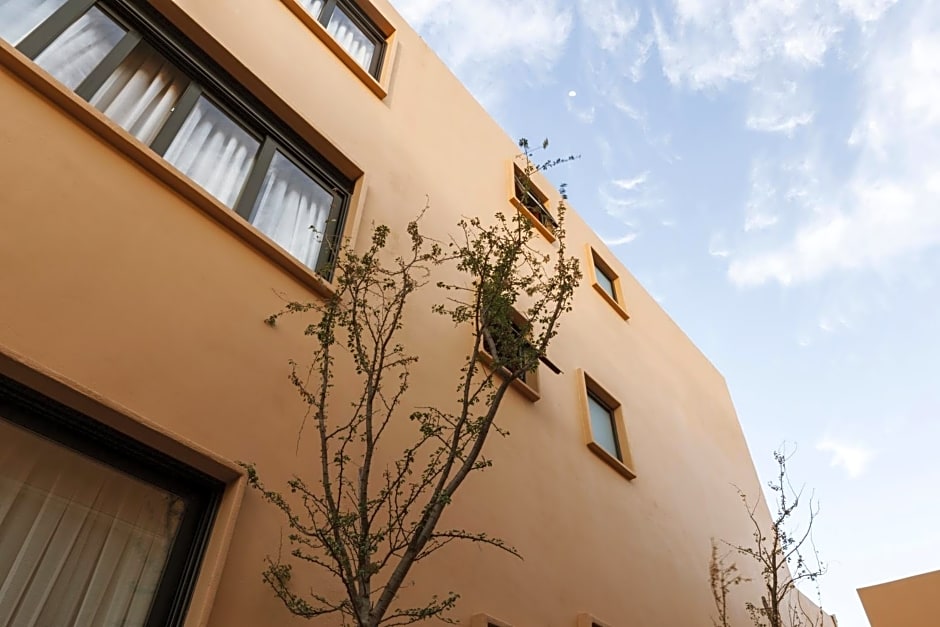 Macondo Arte Oaxaca