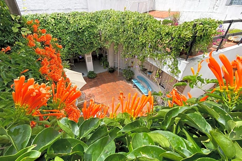 Casa Canario Hostel