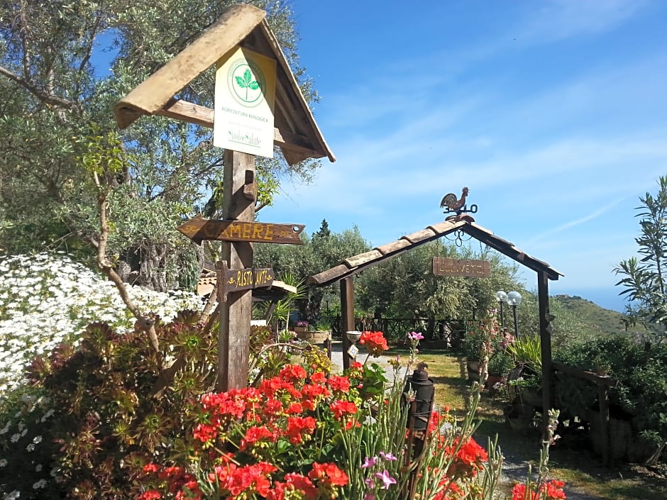 Agriturismo L'Uliveto