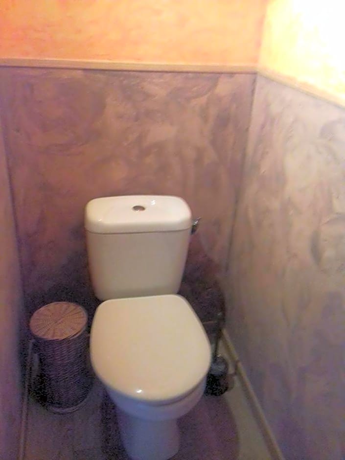 Le chant des oiseaux