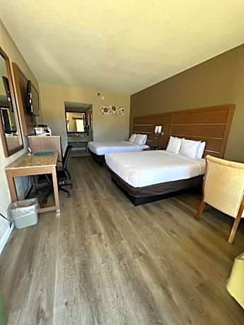 Queen Room with Roll-In Shower - Accessible/Non-Smoking