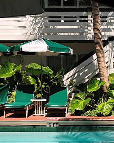 Perroquet Hotel