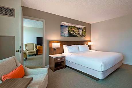 Suite, 1 King, Sofa bed, City view
