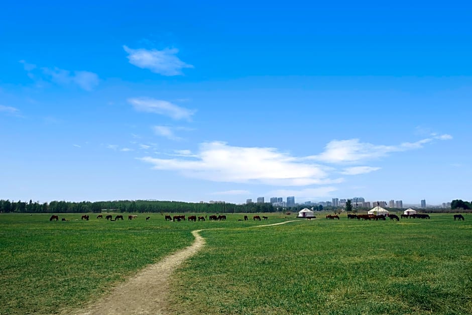 Baotou Marriott Hotel