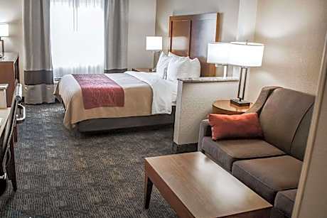 1 Queen Bed Suite Nonsmoking