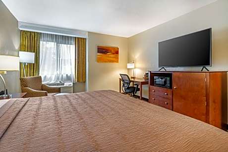 1 King Bed Non-Smoking Microwave And Refrigerator Wi-Fi Full Breakfast