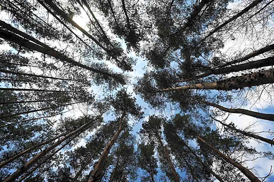 Panorama Hotel Noszvaj