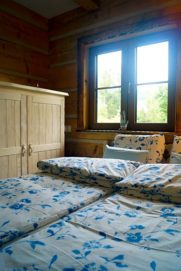 Smolnikowe Klimaty - Chyżula - Sauna&amp;Jacuzzi