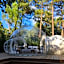 Les Bulles De Bordeaux
