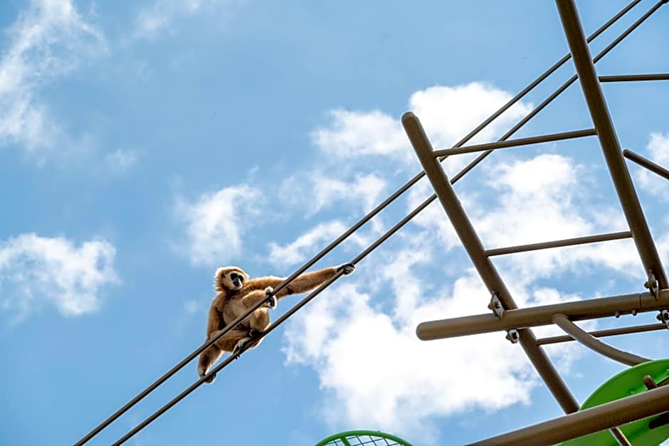 Play Ground BASE -higashikawa-