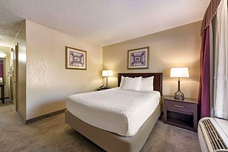 Queen Room with Roll-In Shower - Mobility Accessible/Non-Smoking