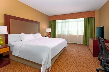 Room 1 King Bed Accessible (Hearing Wellness In-room air purification)