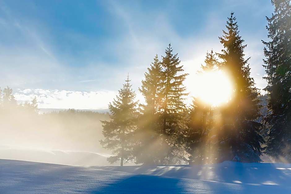 Appartement- und Wellnesshotel Charlotte - 3 Sterne Superior