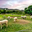 Die Fonteine Country Guesthouse and Glamping