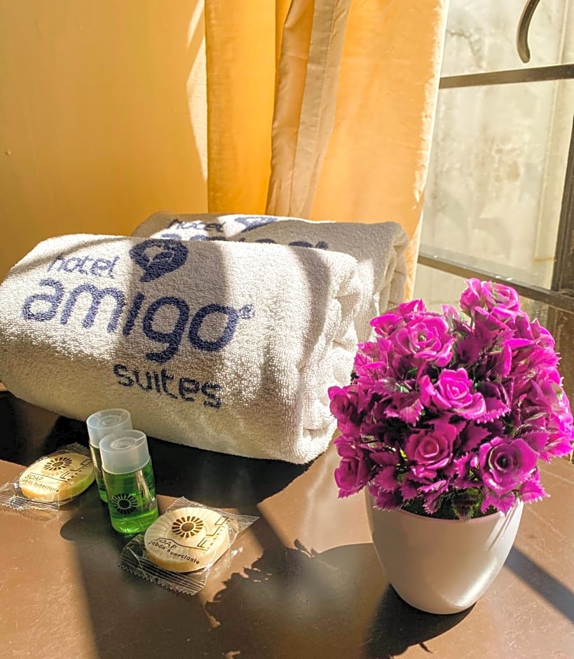 Hotel Amigo Suites