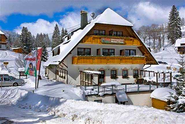Hotel & Restaurant Gruner Baum - Die Grune Oase Am Feldberg