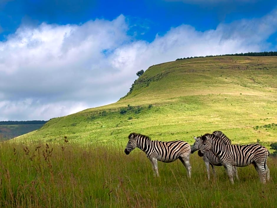 Zulu Waters Game Reserve