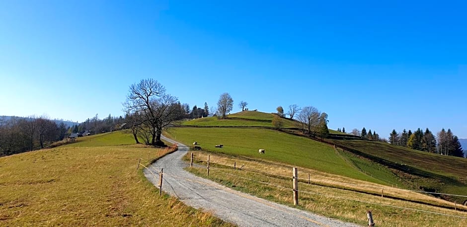 Rezydencja Barrettski