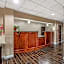 Comfort Inn & Suites Carbondale University Area