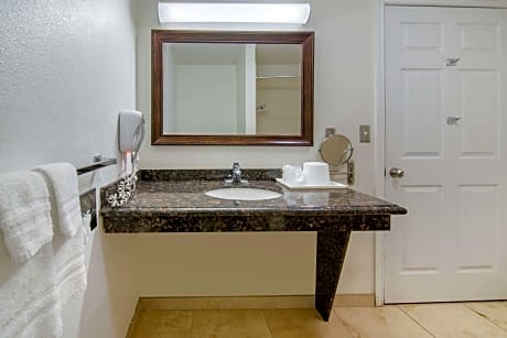 1 King Bed, Accessible Room, Smoking