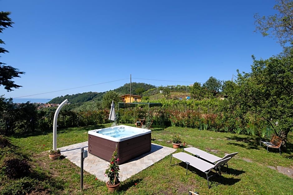 Pietrantica - Affittacamere con giardino NUOVA APERTURA a Trebiano -CITR