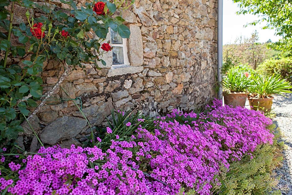 B&B Fleur de Lys Bleue