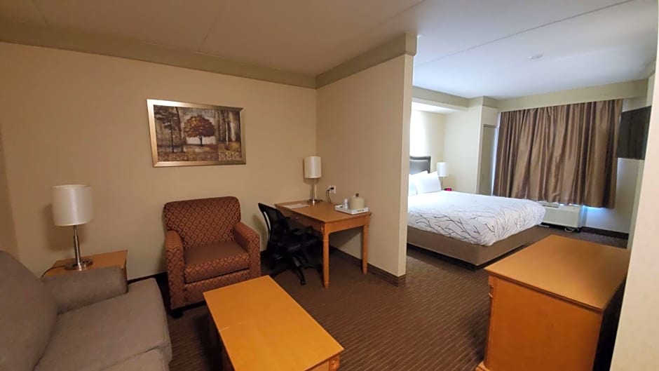 Best Western Plus Waterloo