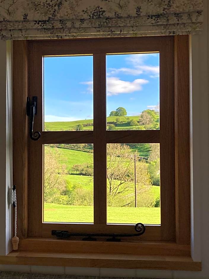 The Snug at Coed Y Gaer