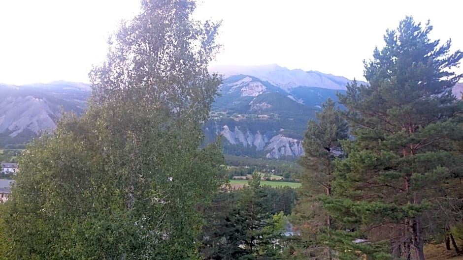 appartement indépendant chalet "les Ormes"