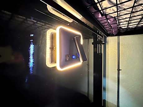 Bed in 10-Bed Mixed Dormitory Room