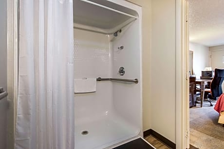 1 King Bed, Nonsmoking, Accessible