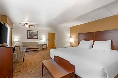 Deluxe King Room - Non-Smoking