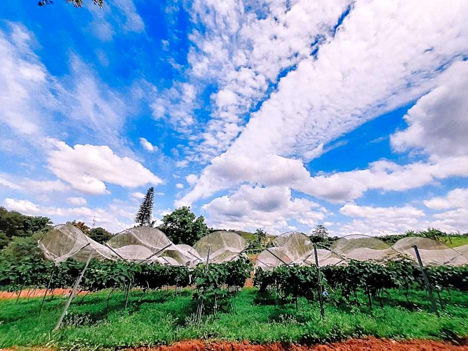 Espaço camping - Barraca 1