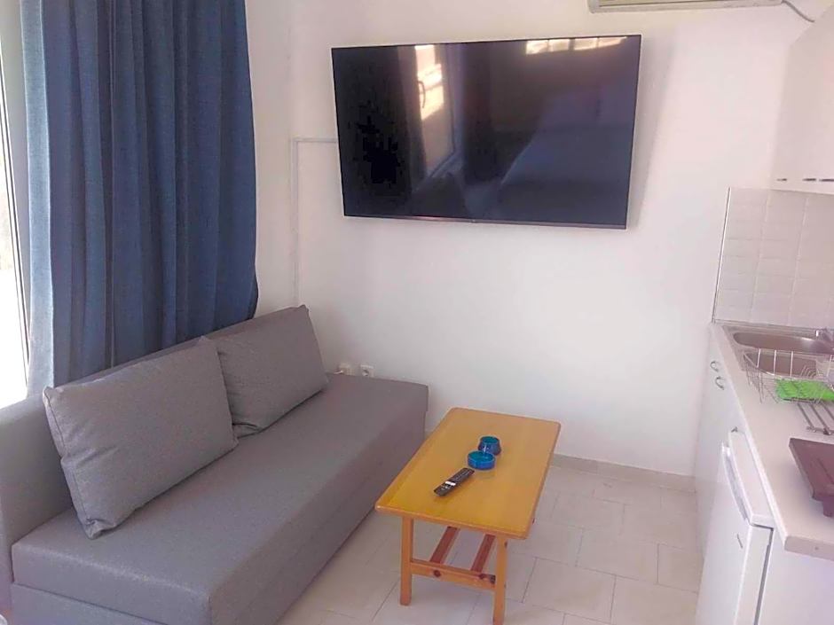Blue Dolphin Studios and Apartment