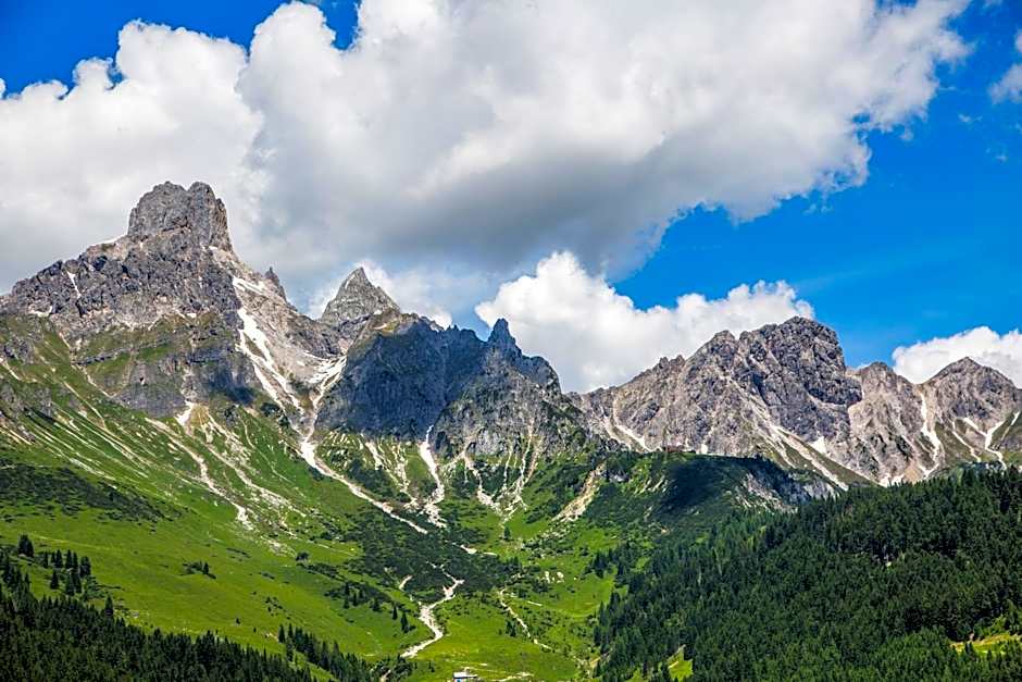 Die Filzmooserin - smart living apartments in Filzmoos, Filzmoos Card inklusive