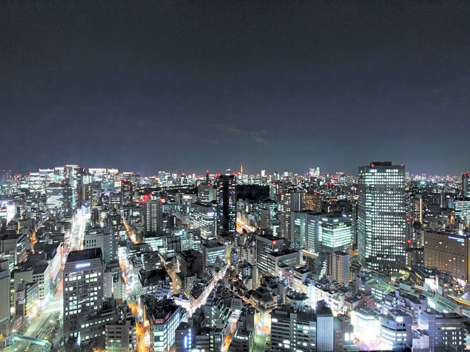 Tokyo Dome Hotel