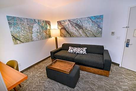 King Studio with Sofa Bed and Adapted Tub - Mobility and Hearing Accessible