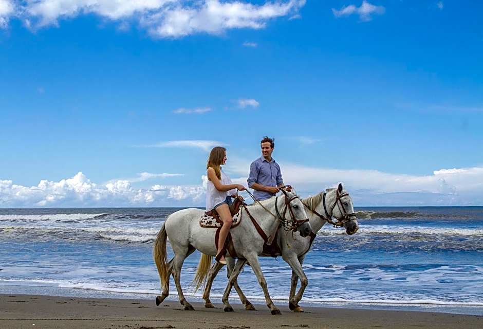 Barceló Montelimar All Inclusive