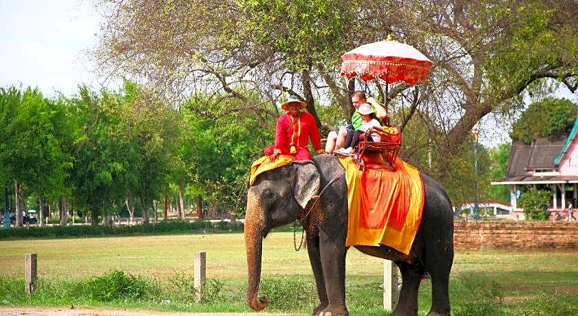 Tony's Place Beds & Breakfast