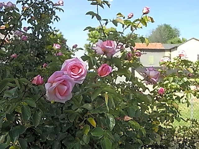 Bed & breakfast Villa Lisetta