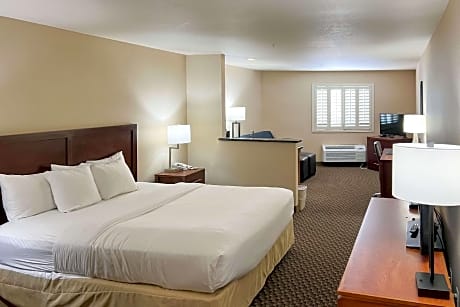 1 King Bed, Suite, Nonsmoking