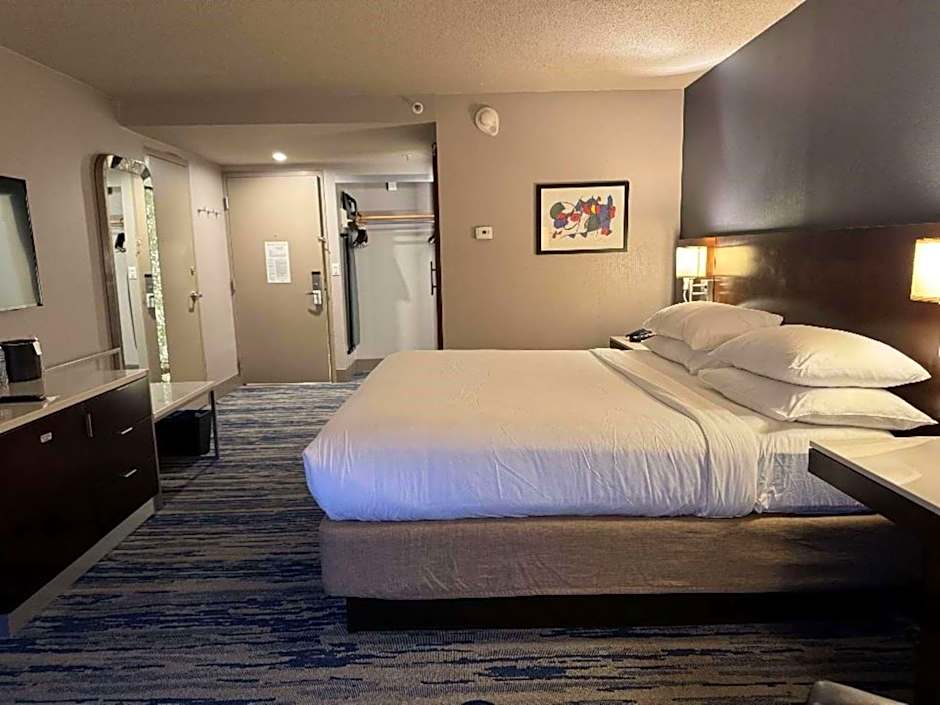 Skyline Hotel Detroit Airport, SureStay Collection by Best Western