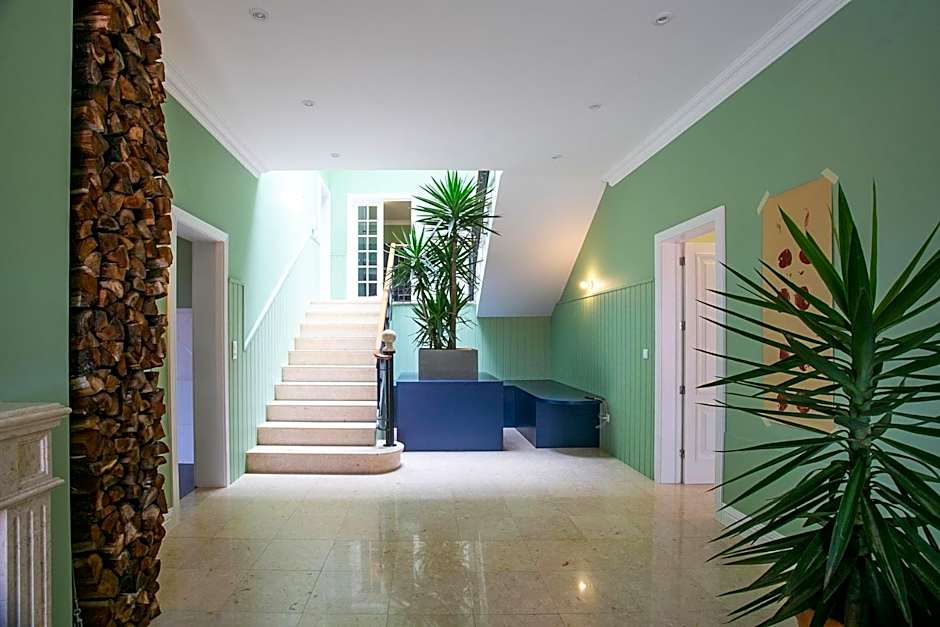 SALT LIPS - Azores Surf Experience