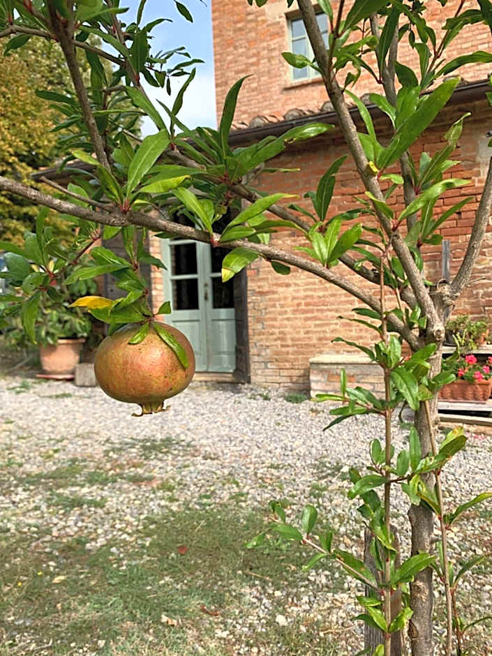 Borgo Montefreddo Toscana