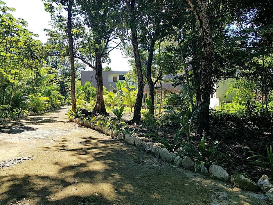 Santuario Jungle