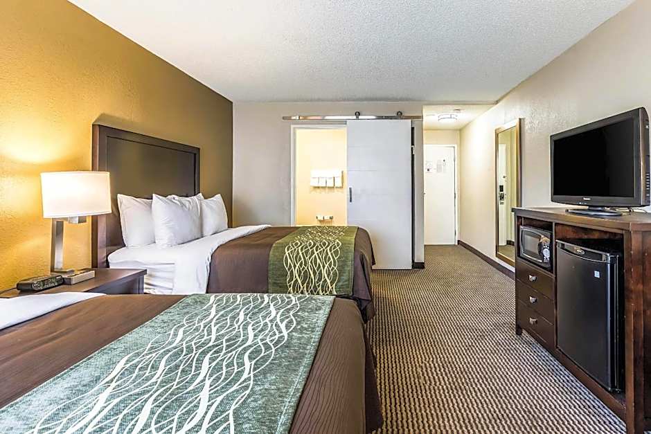 Comfort Inn Detroit Downtown