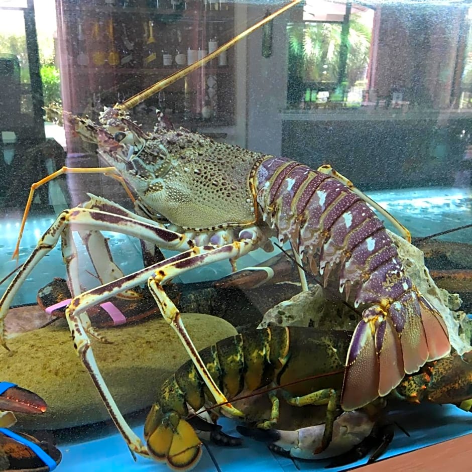 Best Western Hotel Imperiale