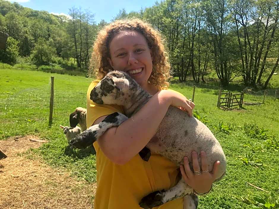 Shepherds Huts Ham Hill, 2 double beds, Bathroom, Lounge, Diner, Kitchen, LOVE dogs & Cats Looking out to lake and by Ham Hill Country Park plus parking for large vehicles available also great deals on workers long term This is the place to relax and BBQ